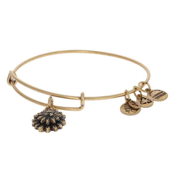 new Alex and Ani ꥟ Sacred Garden - Water Lily Charm Bangle Bracelet ꥟ Gold - Picture 6 of 14